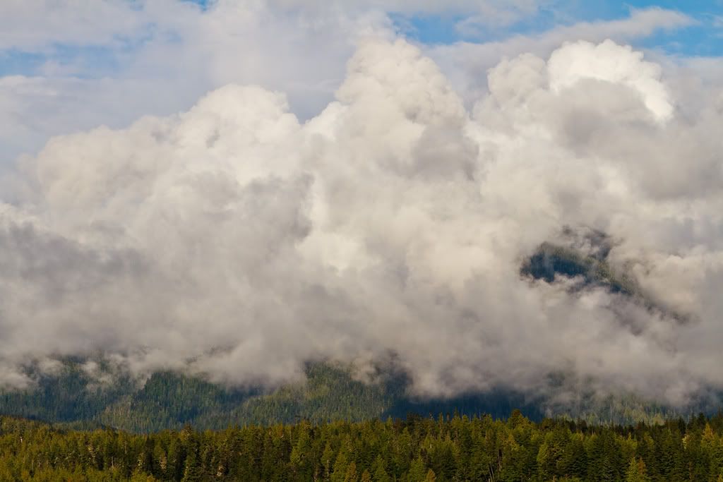 IMAGE: http://i1105.photobucket.com/albums/h341/Canorka/7919612448_892a3a287a_b_zpsee7031ce.jpg