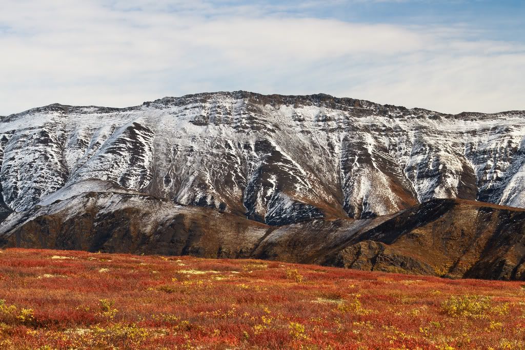 IMAGE: http://i1105.photobucket.com/albums/h341/Canorka/7924744554_28e21415f5_b_zps843dc471.jpg