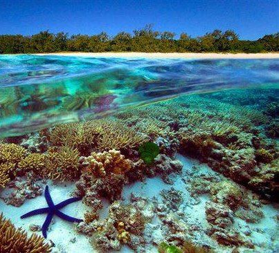 greatbarrierreef_zps7fd0b1a5.jpg