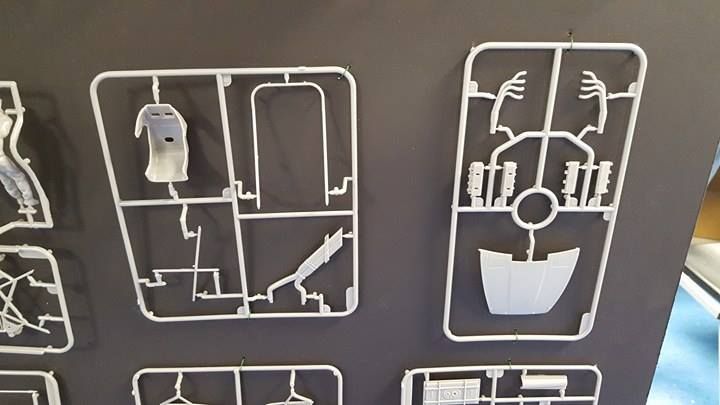 18109788_10211266484270709_155732809_n_z