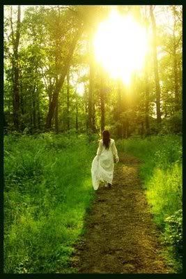 Path-of-forgiveness-1.jpg (267×400)