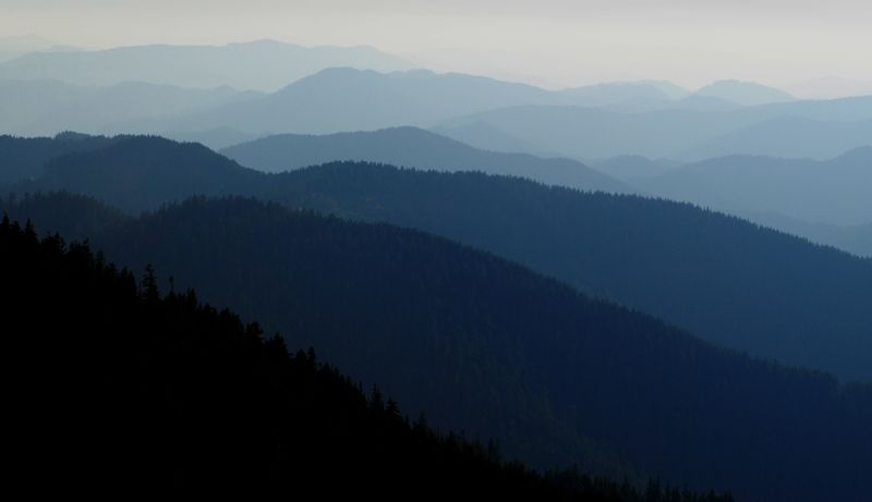 looking-west-sm.jpg