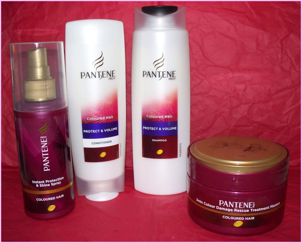 Produkttest Pantene Shampoo Knuddelstoffel