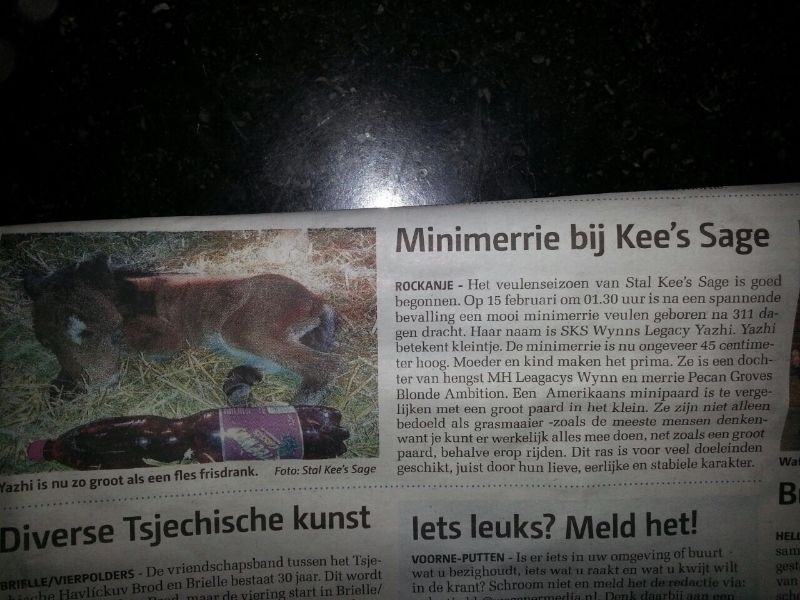 Afbeelding