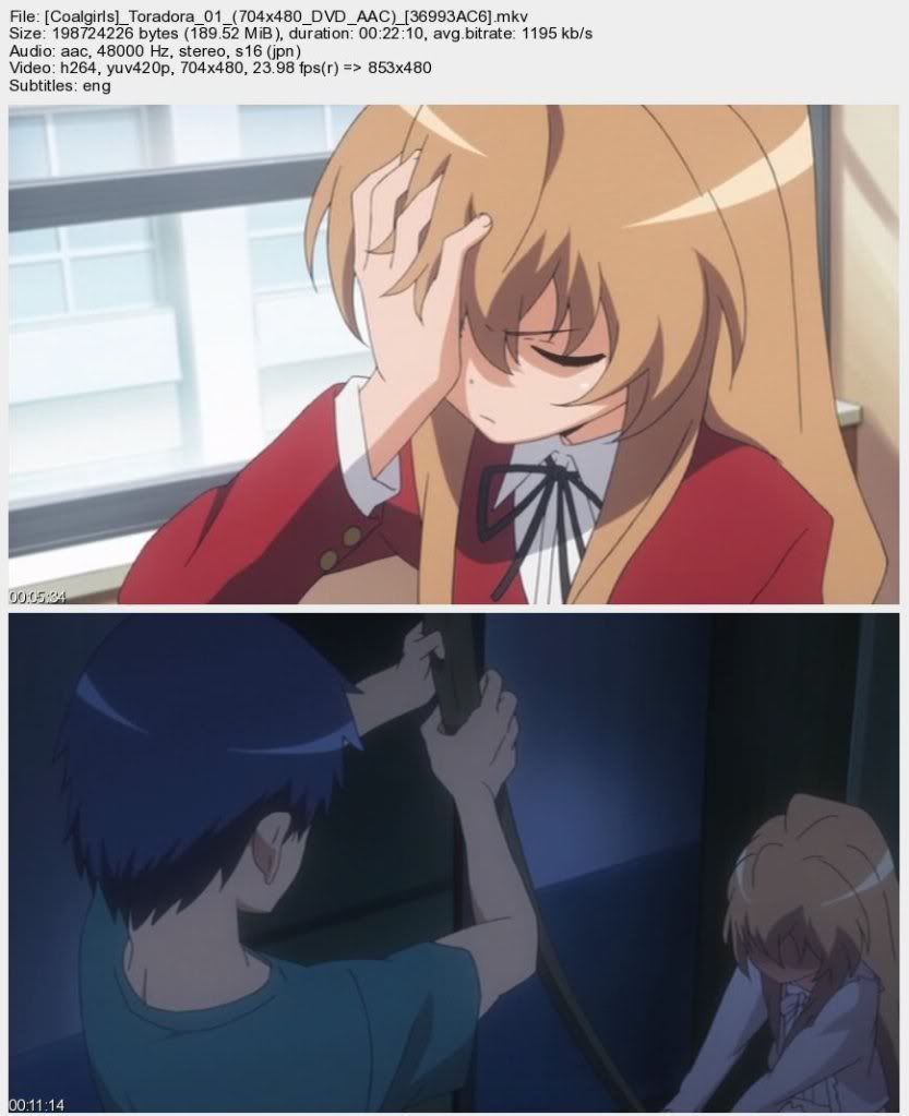 rsz_1coalgirls_toradora_01_704x480_dvd_aac_36993ac6_s.jpg