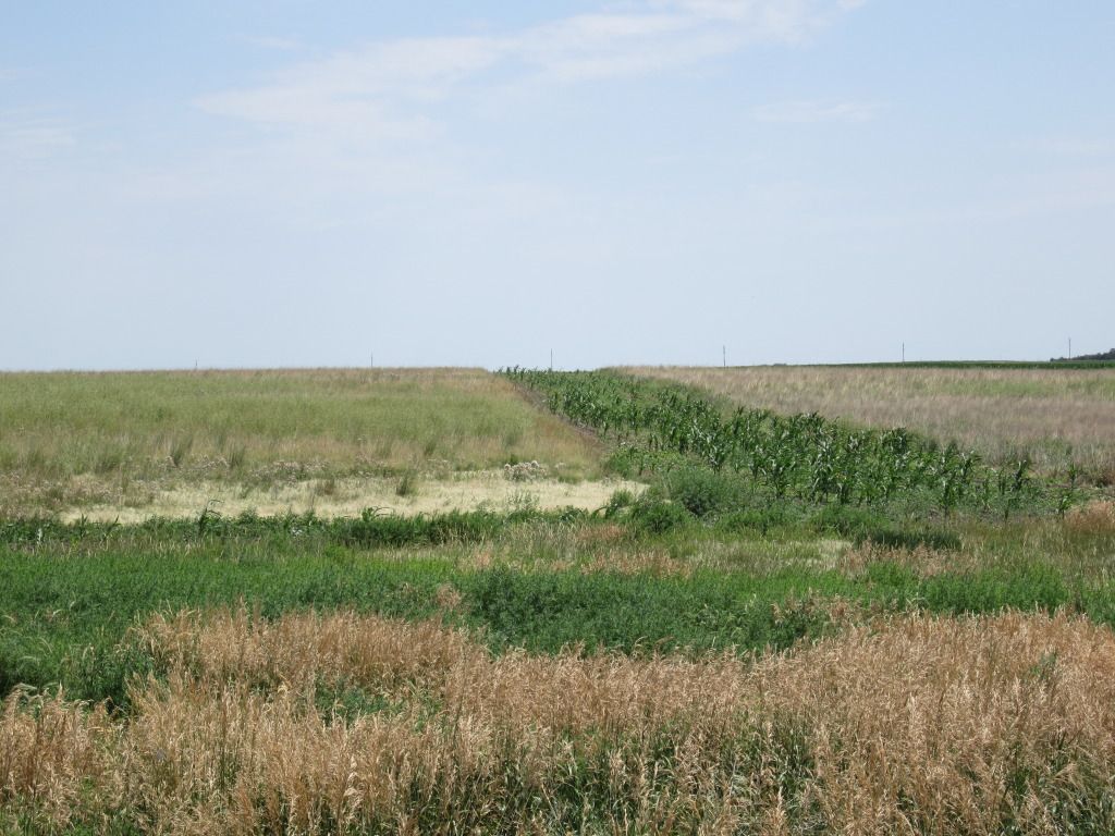 Habitat2012B.jpg