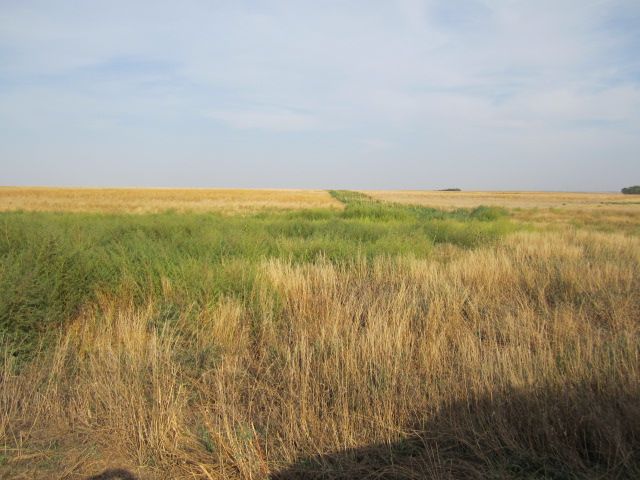 WP1SEP12.jpg