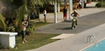 gif gif