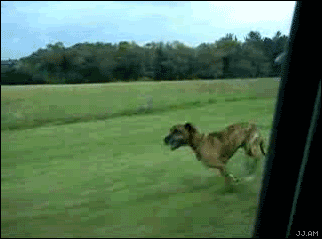 los mejores gif los mejores gif
