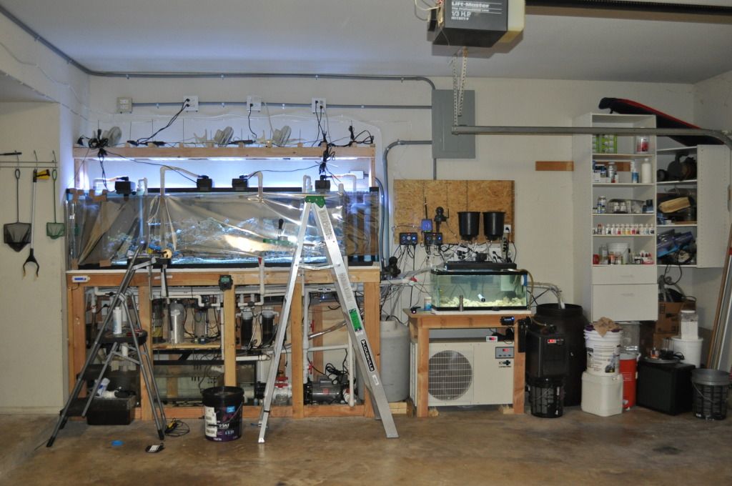 Sump under tank or in garage? Reef Central Online Community