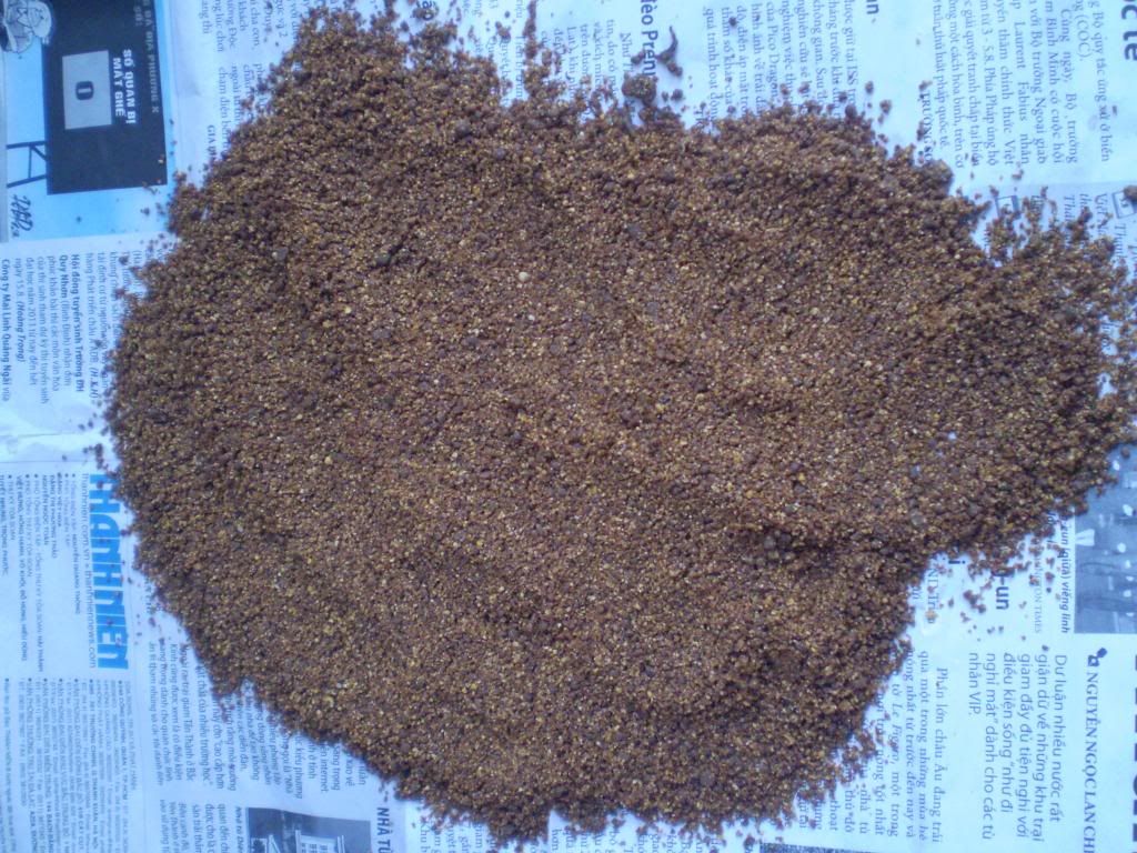 Bán 1 số  Lồng và Chim họa mi trồng mái