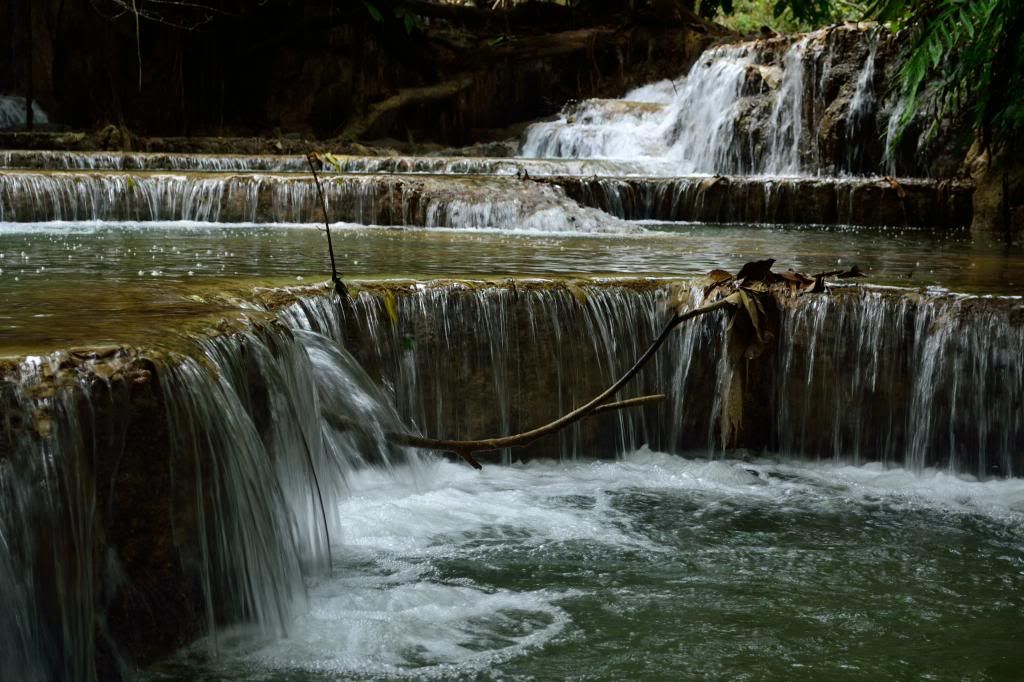  photo DSC_0466_zps9c07a7d5.jpg