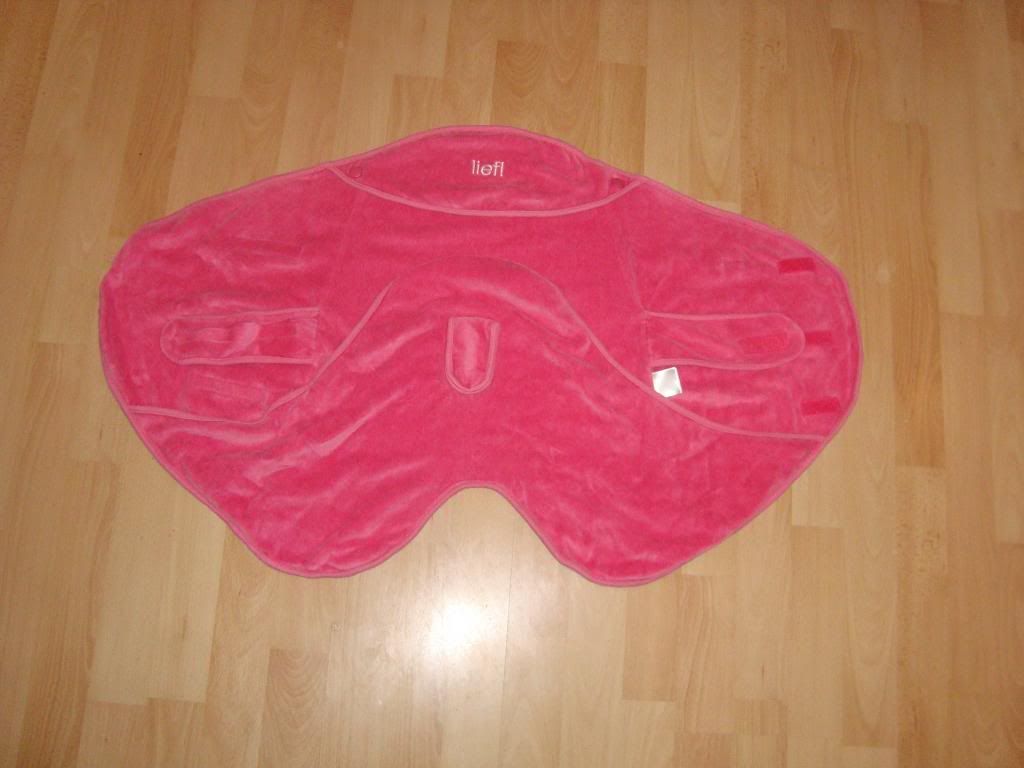 DSC05239_zps6cfc7774.jpg
