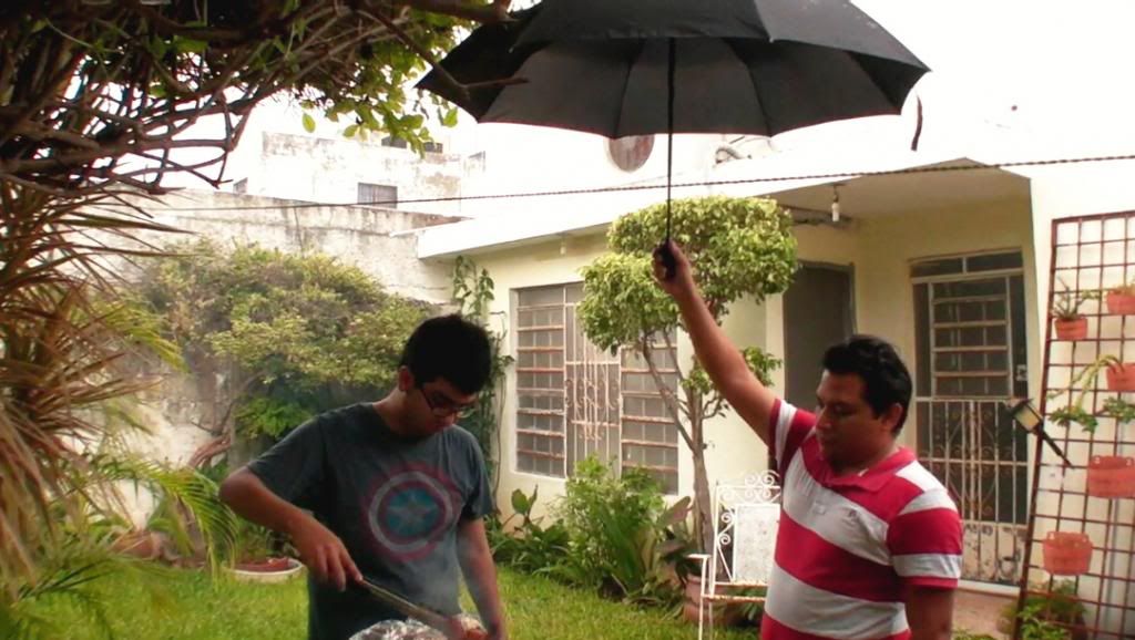 photo alitas.jpg