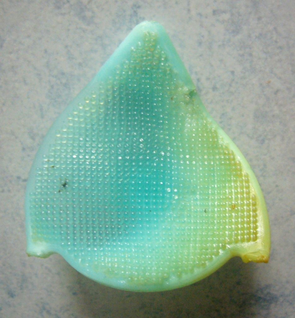 DaisoFaceWashingBrush01.jpg