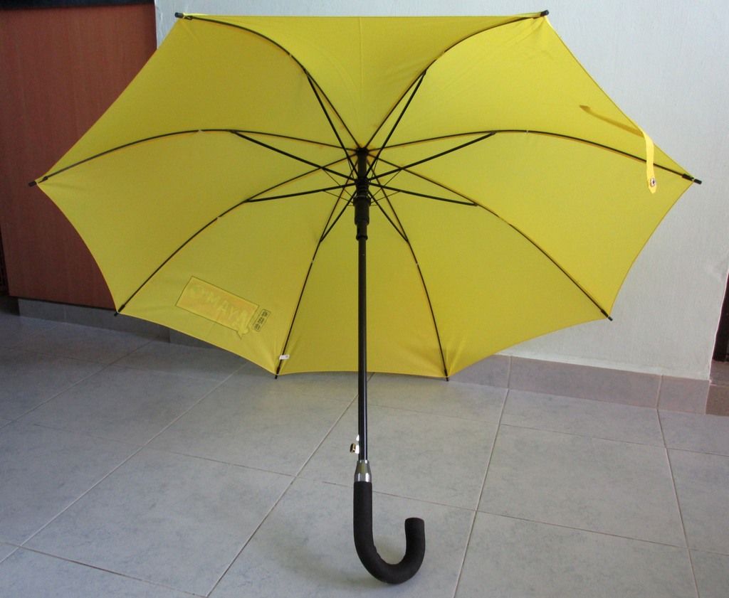 photo AyamBrandProducts06.jpg