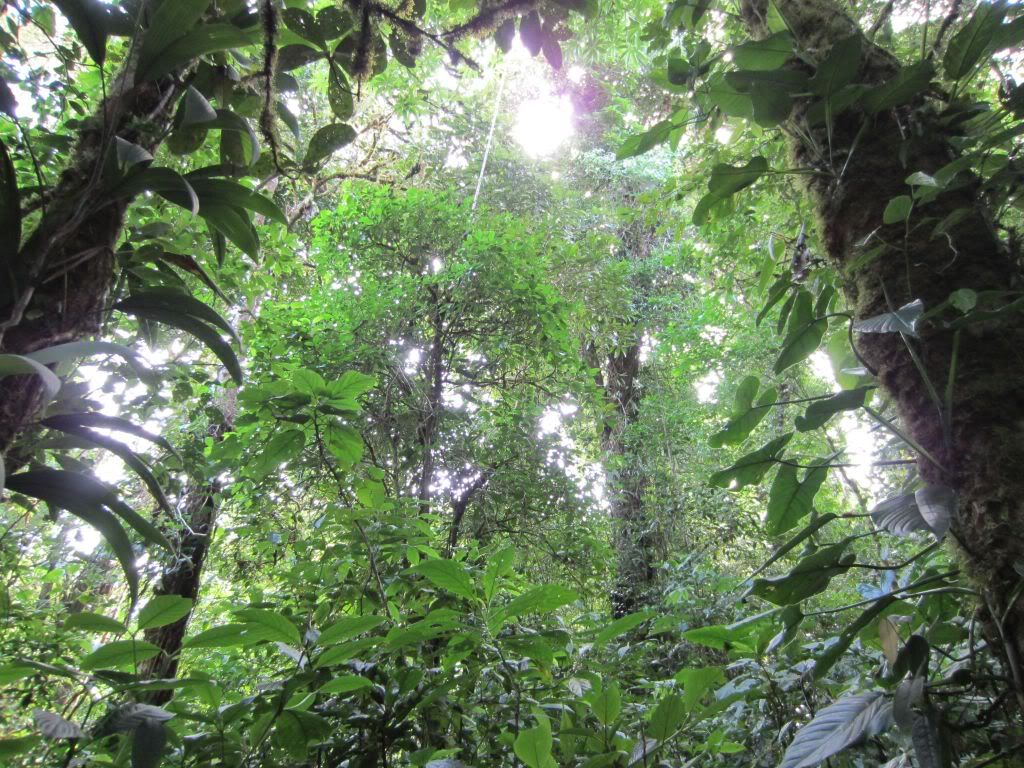 UK Costa Rica Field Course Renowned Costa Rican Biologist will guest