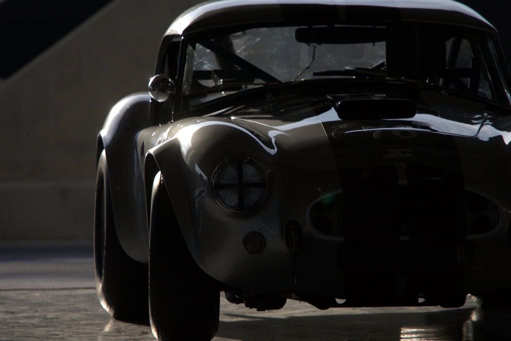 IMAGE: http://i1105.photobucket.com/albums/h356/nellyleelephant/PTHB0841.jpg