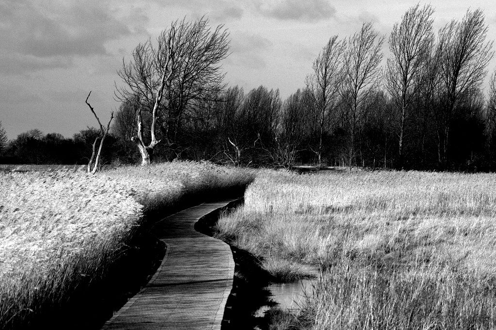 IMAGE: http://i1105.photobucket.com/albums/h356/nellyleelephant/PTHB3805CR2-1.jpg