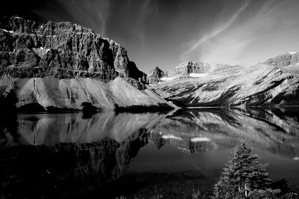 IMAGE: http://i1105.photobucket.com/albums/h356/nellyleelephant/WU2E0292.jpg