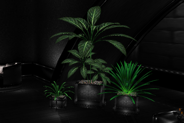 Heaven Nor Hell Plant photo Plant48_zps83a12a30.png