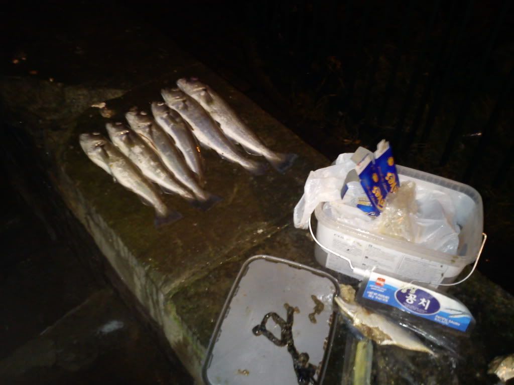 IMG_20120101_070657.jpg