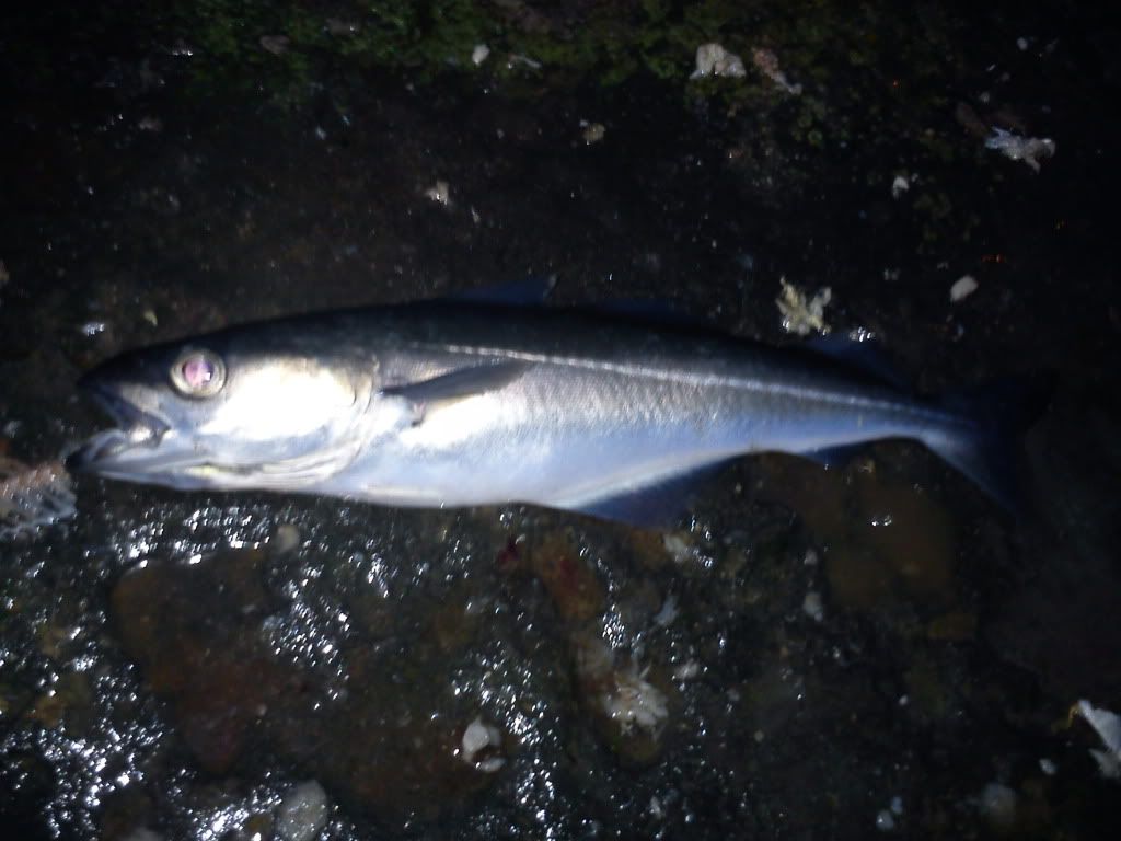 IMG_20120101_080803.jpg