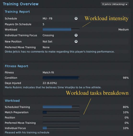 Training_Overview.jpg