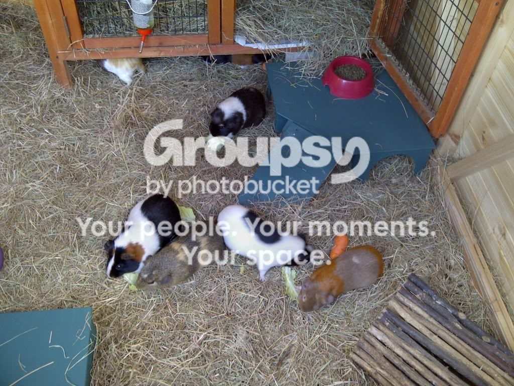 CopyofRugby-20110819-00255.jpg