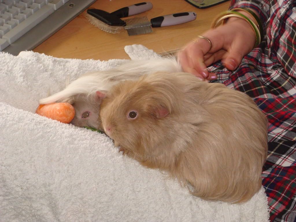 DSC05181.jpg