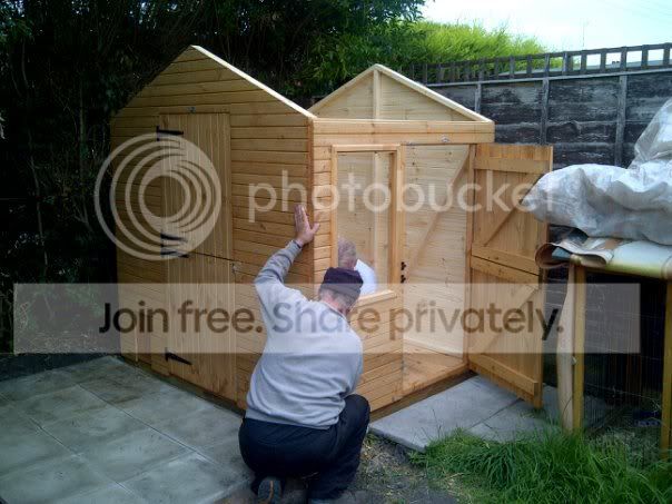 shed2.jpg