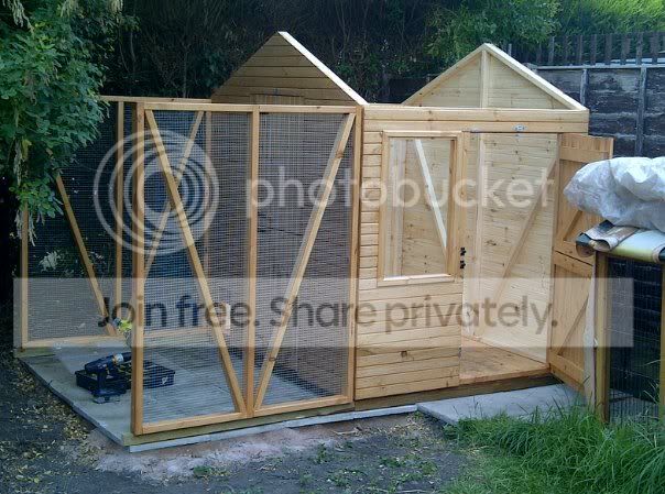 shed3.jpg