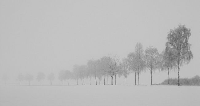 photo Marei_zps2db6e2b4.jpeg