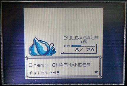 [PokeCommunity.com] The Monotype Challenge