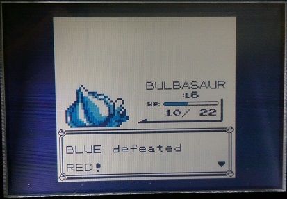 [PokeCommunity.com] The Monotype Challenge