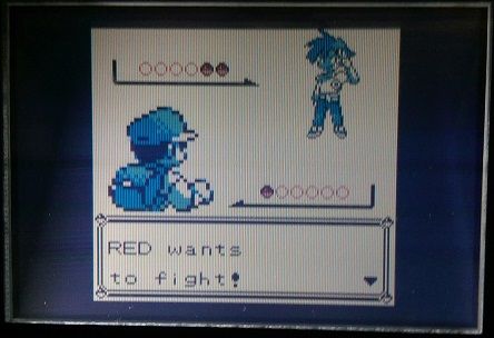 [PokeCommunity.com] The Monotype Challenge