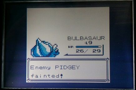 [PokeCommunity.com] The Monotype Challenge