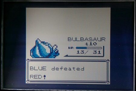 [PokeCommunity.com] The Monotype Challenge