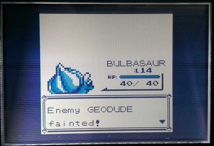 [PokeCommunity.com] The Monotype Challenge