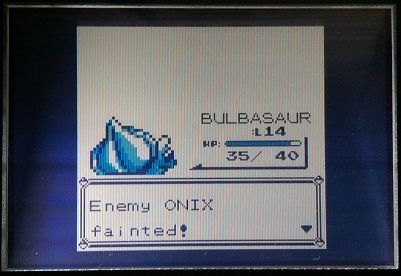 [PokeCommunity.com] The Monotype Challenge