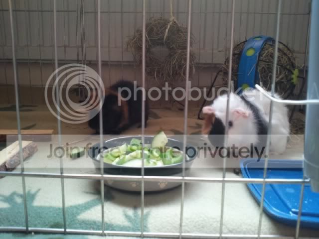 Photo015.jpg