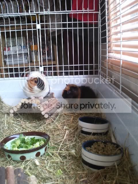 Photo026.jpg